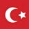 Türk